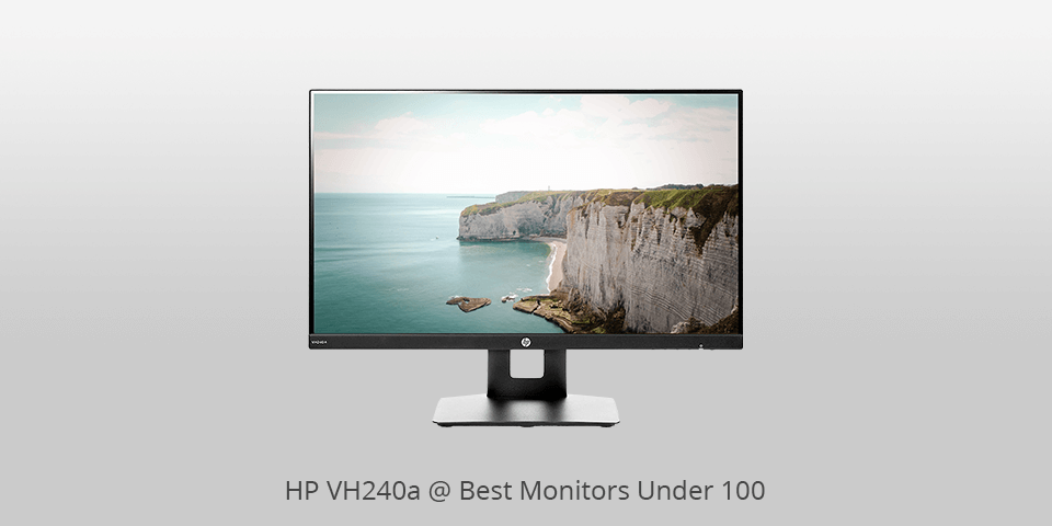 best budget monitor under 100