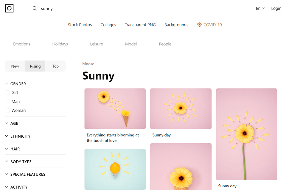 icons8 أفضل واجهة موقع للتصوير الفوتوغرافي للأوراق المالية