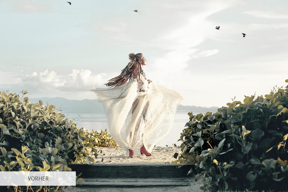 kostenlose filmora luts