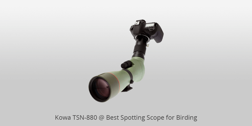 spotting scopes for birding