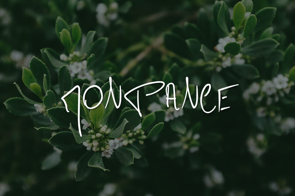 monpance font for indesign