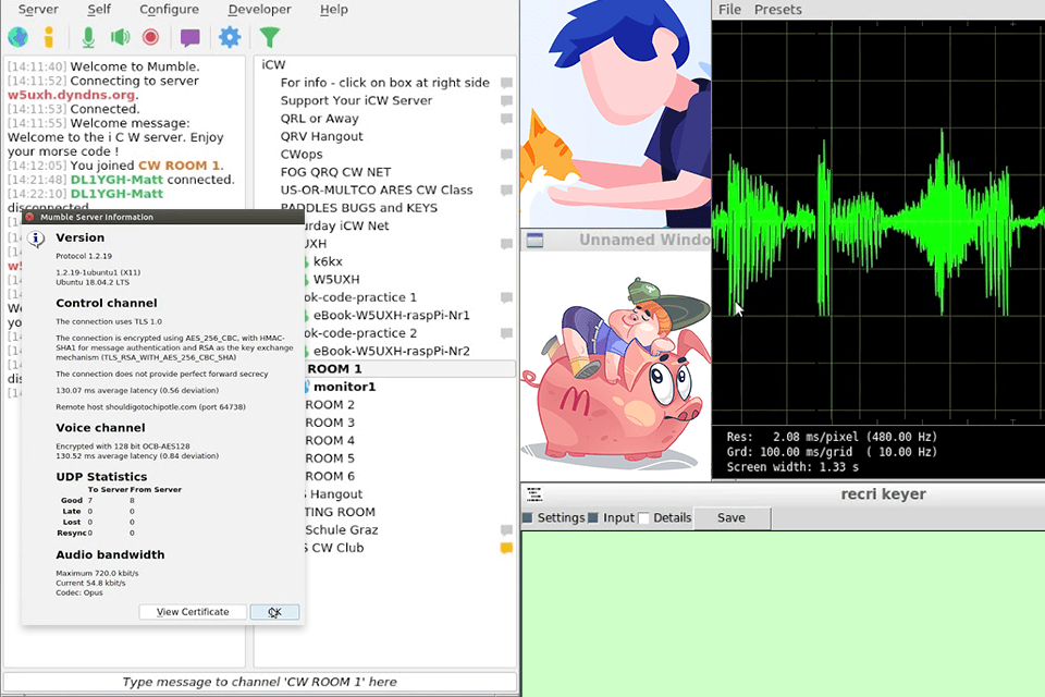 mumble voice chat app