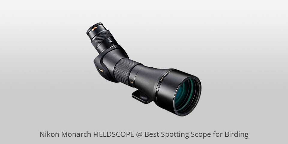 bird spotting scope