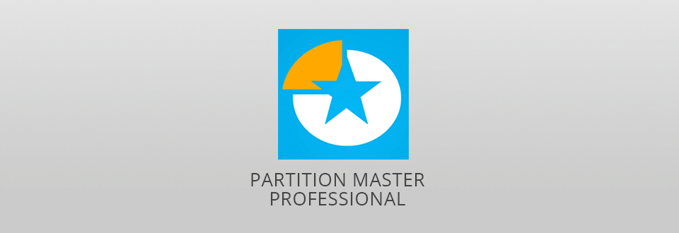 partition master professional logo