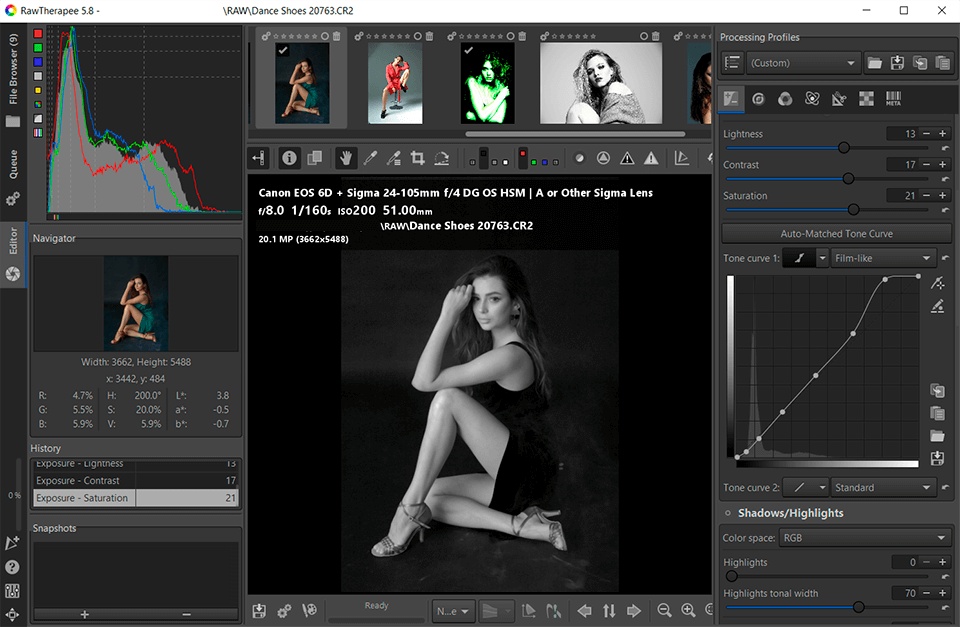rawtherapee canon raw editor interface