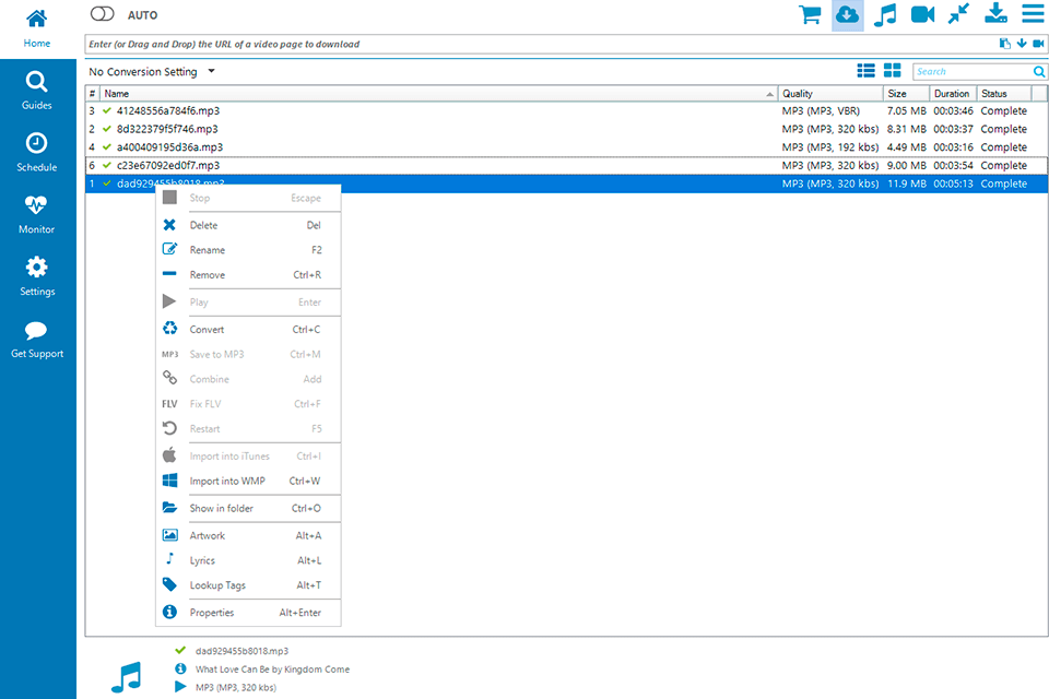 replay media catcher interface
