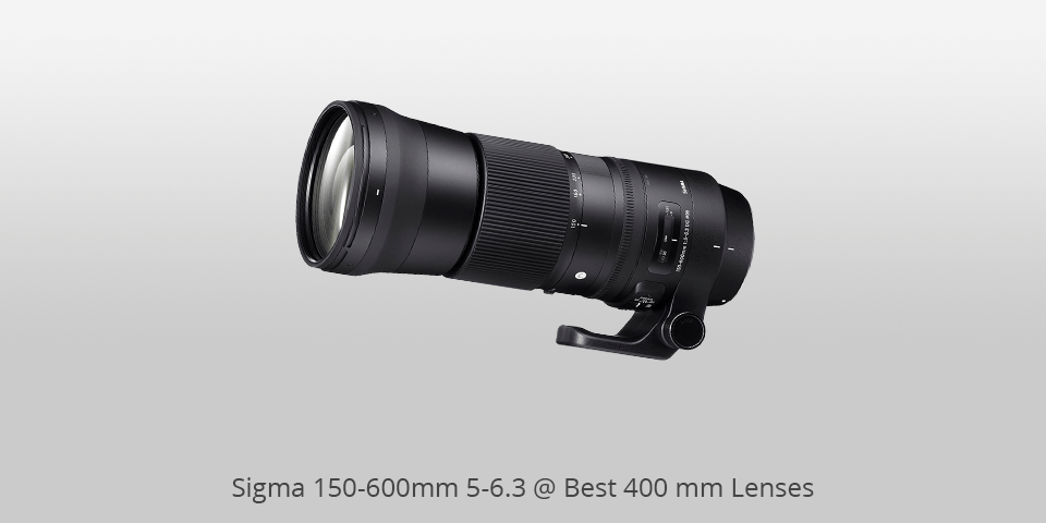 sigma 150-600 mm lenses