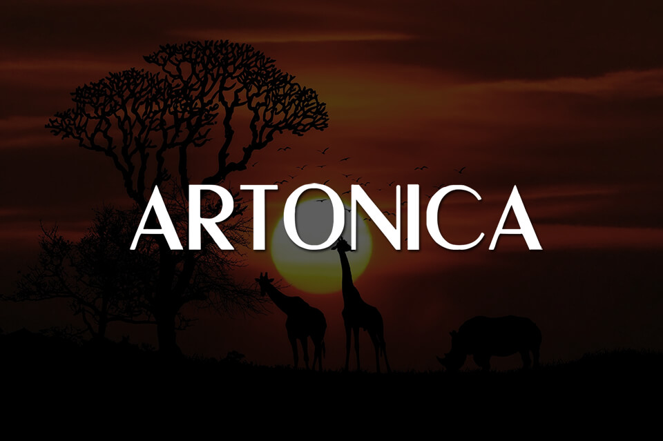 sketch vs illustrator freebies artonica