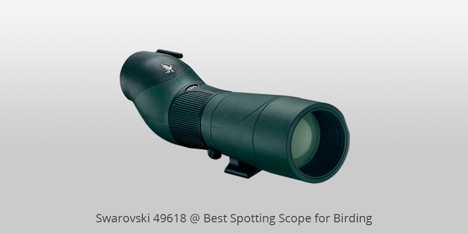 best birding scopes