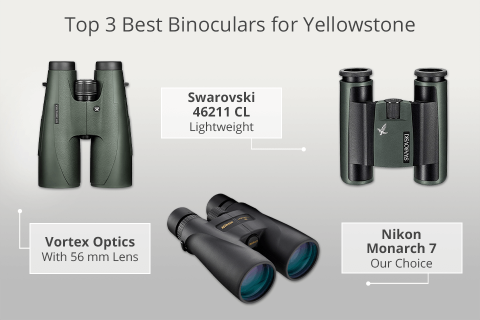 best binoculars for yellowstone