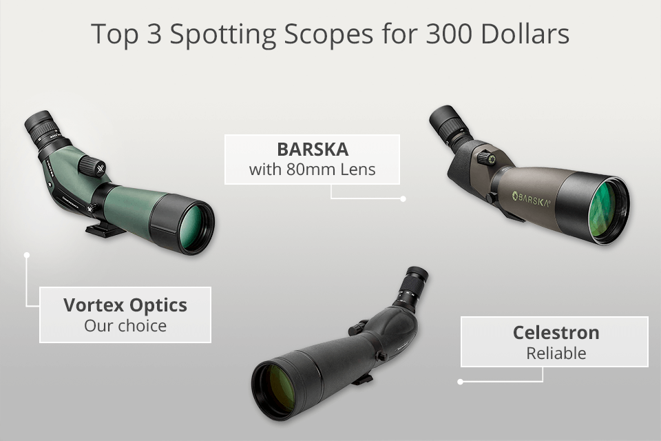 best spotting scope for 300 dollars