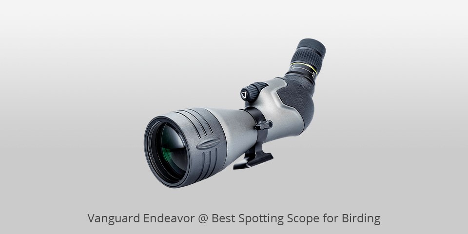 birding scope