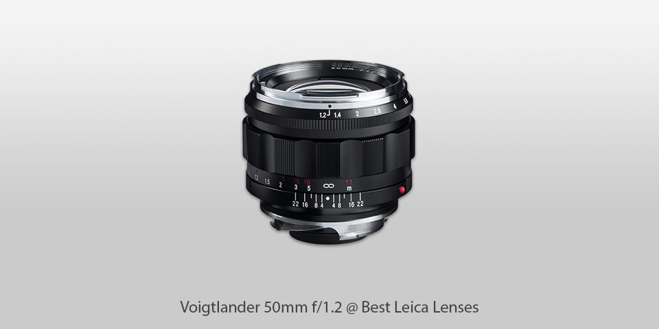 voigtlander 50 mm lenses