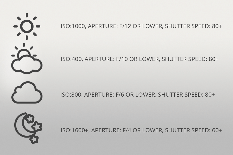 wild animal photograph iso