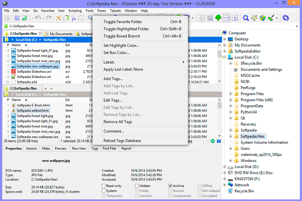 xyplorer duplicate file finder interface