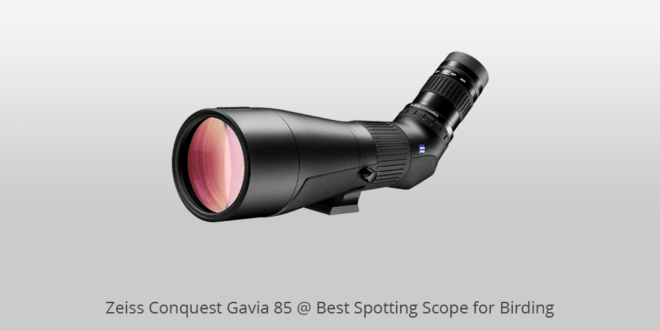 best spotting scope for birding