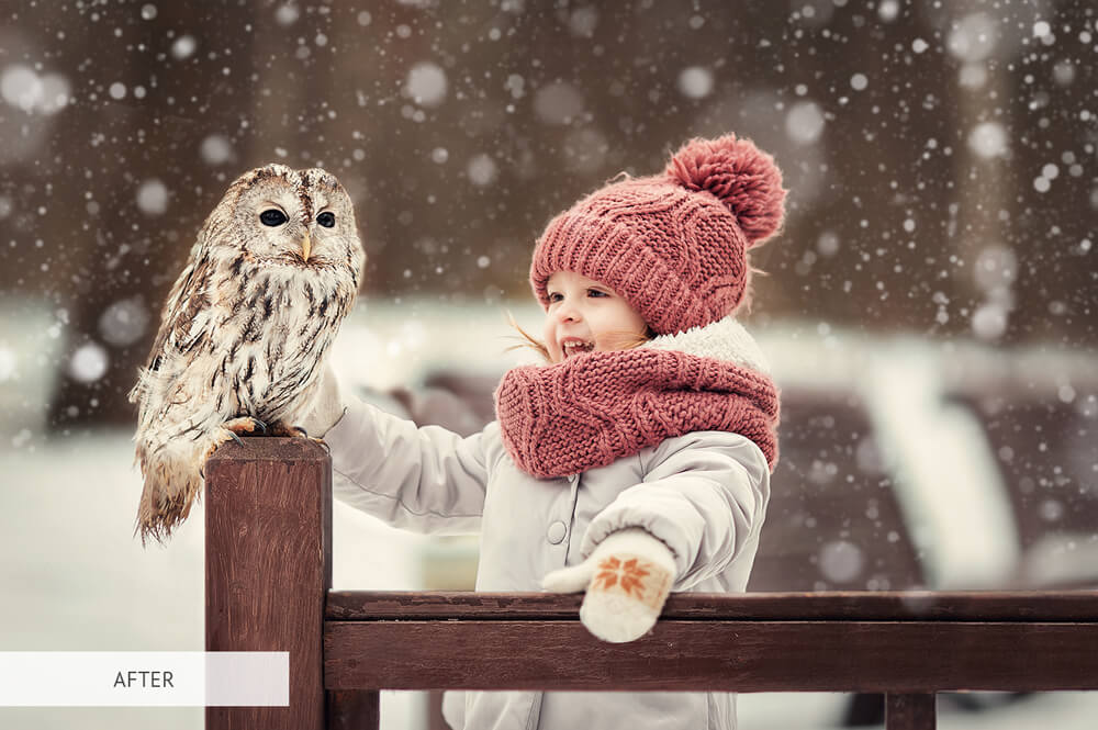 filtro photoshop gratis inverno