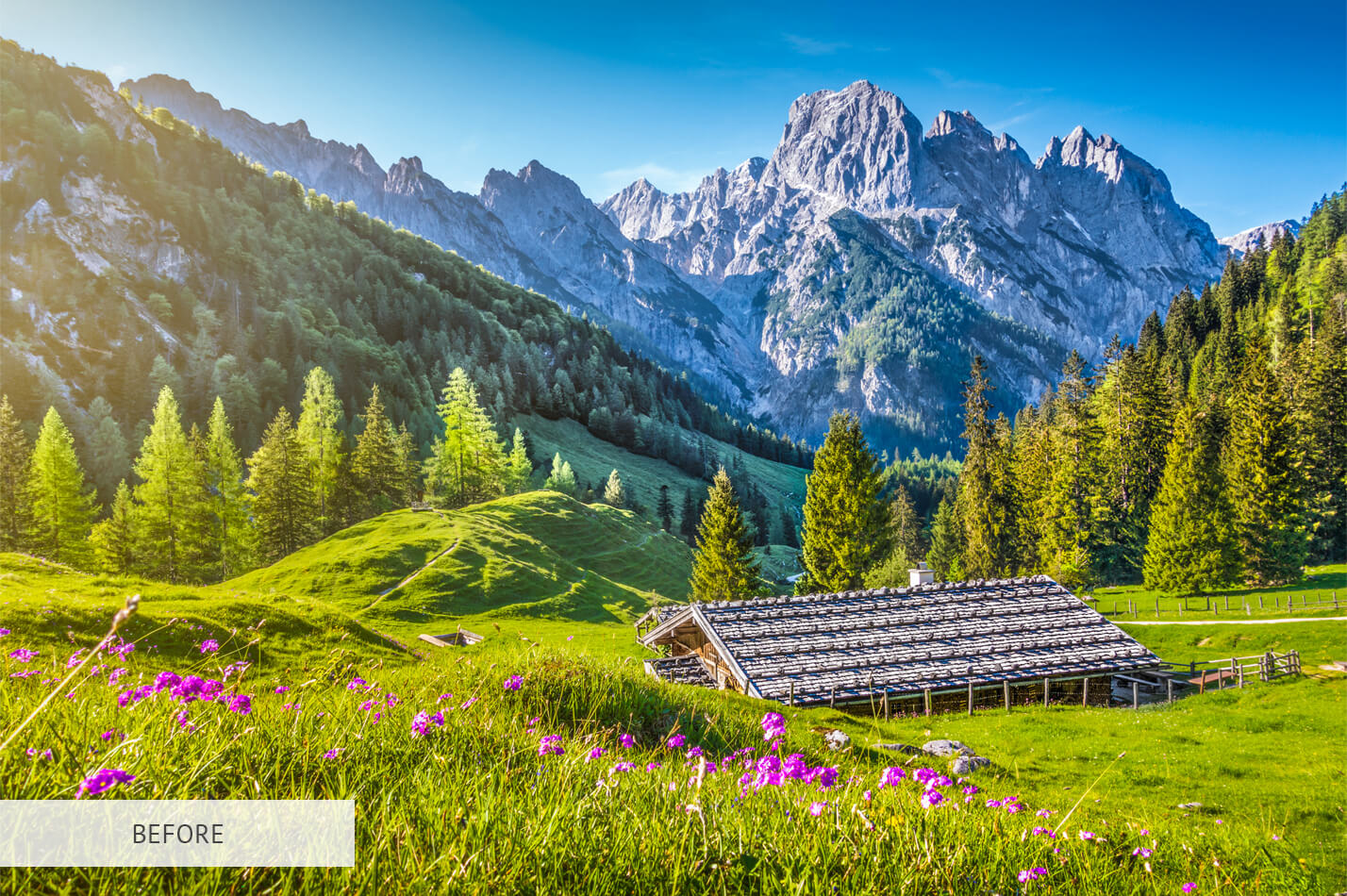 filtri photoshop gratis spatola