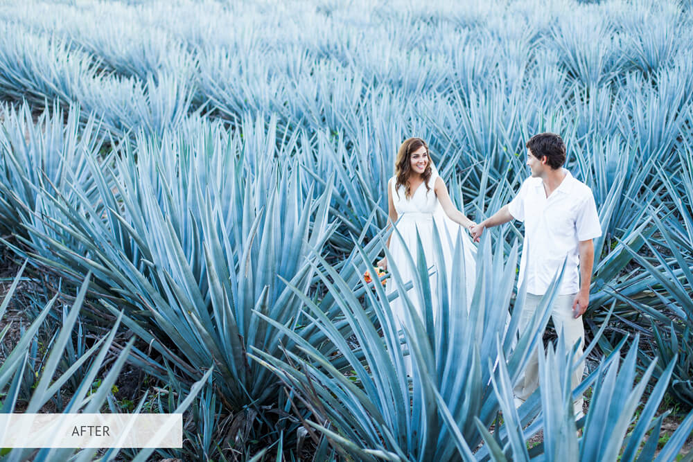 filtro photoshop gratis matrimonio