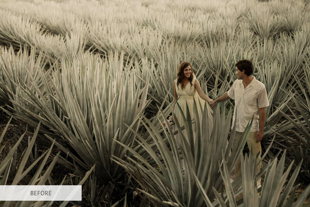 filtro photoshop gratis matrimonio