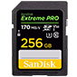 sandisk 256gb extreme pro best gopro accessories