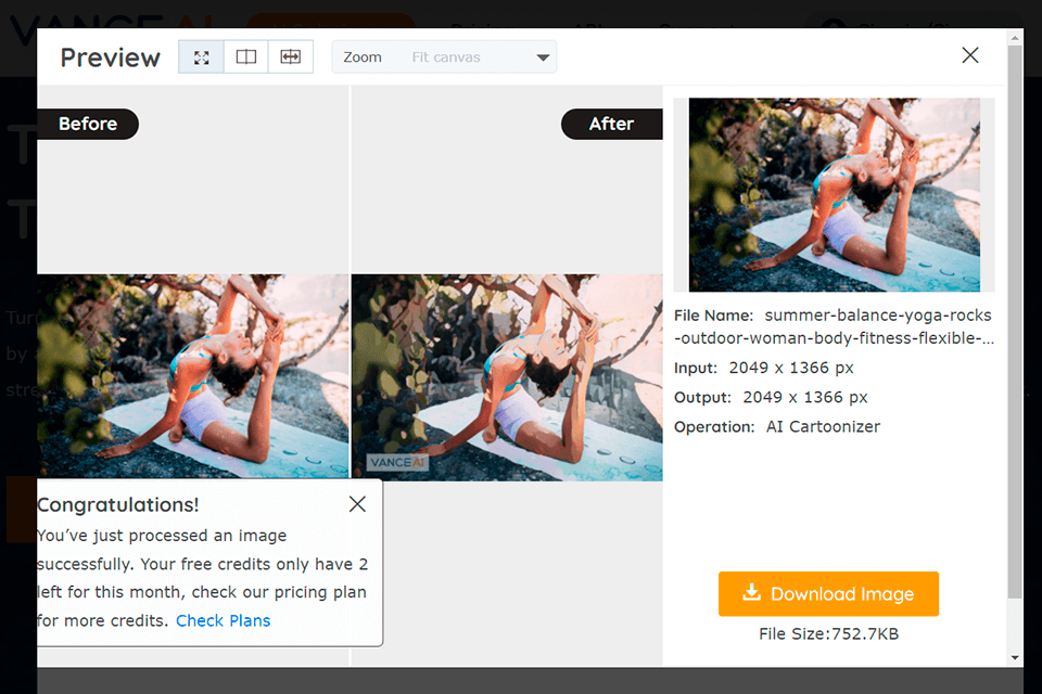 toongineer cartoonizer image caroonizer
