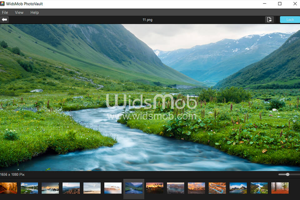 widsmob photovault interface