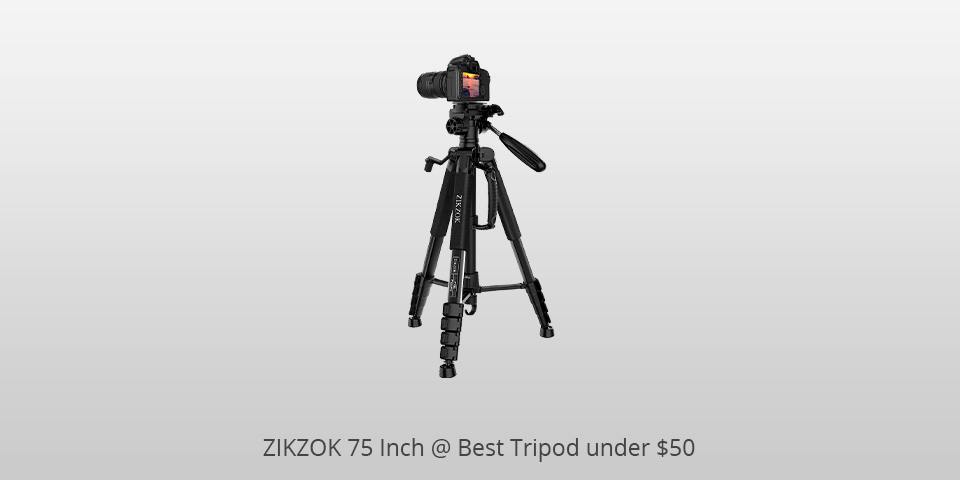 zikzok 75 inch tripod under 50