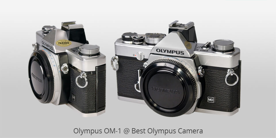 leather camera neck strap