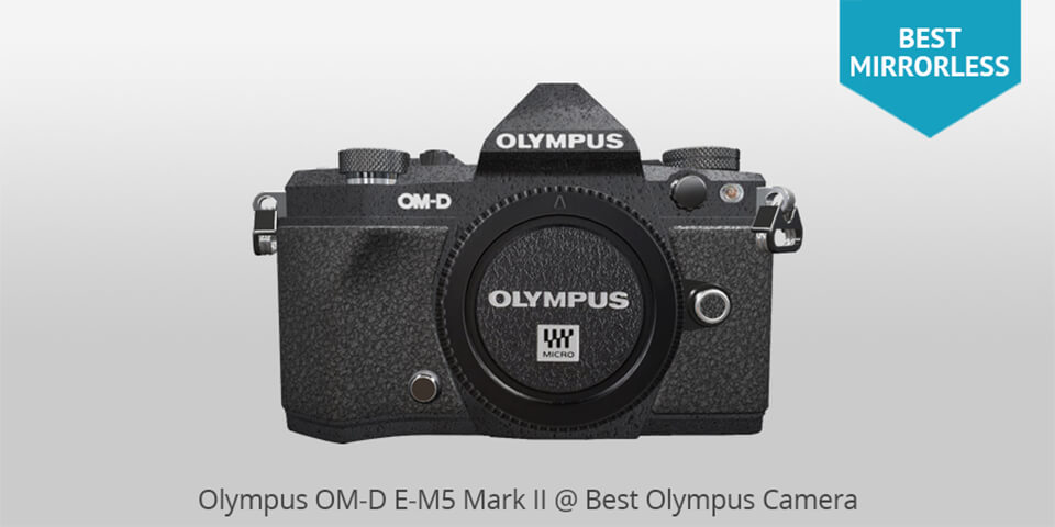 leather camera neck strap