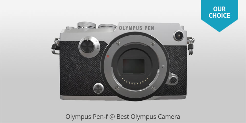 leather camera neck strap