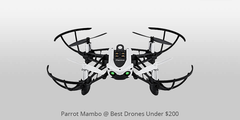 leather camera neck strap