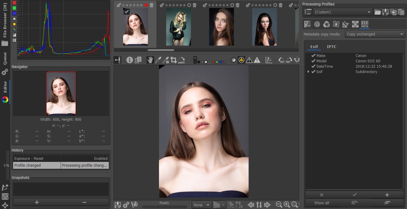 rawtherapee metadata