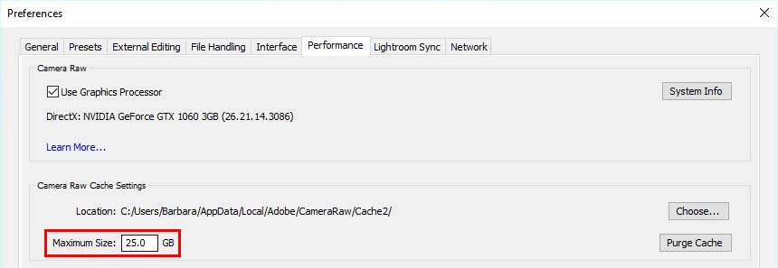 add cache maximum size