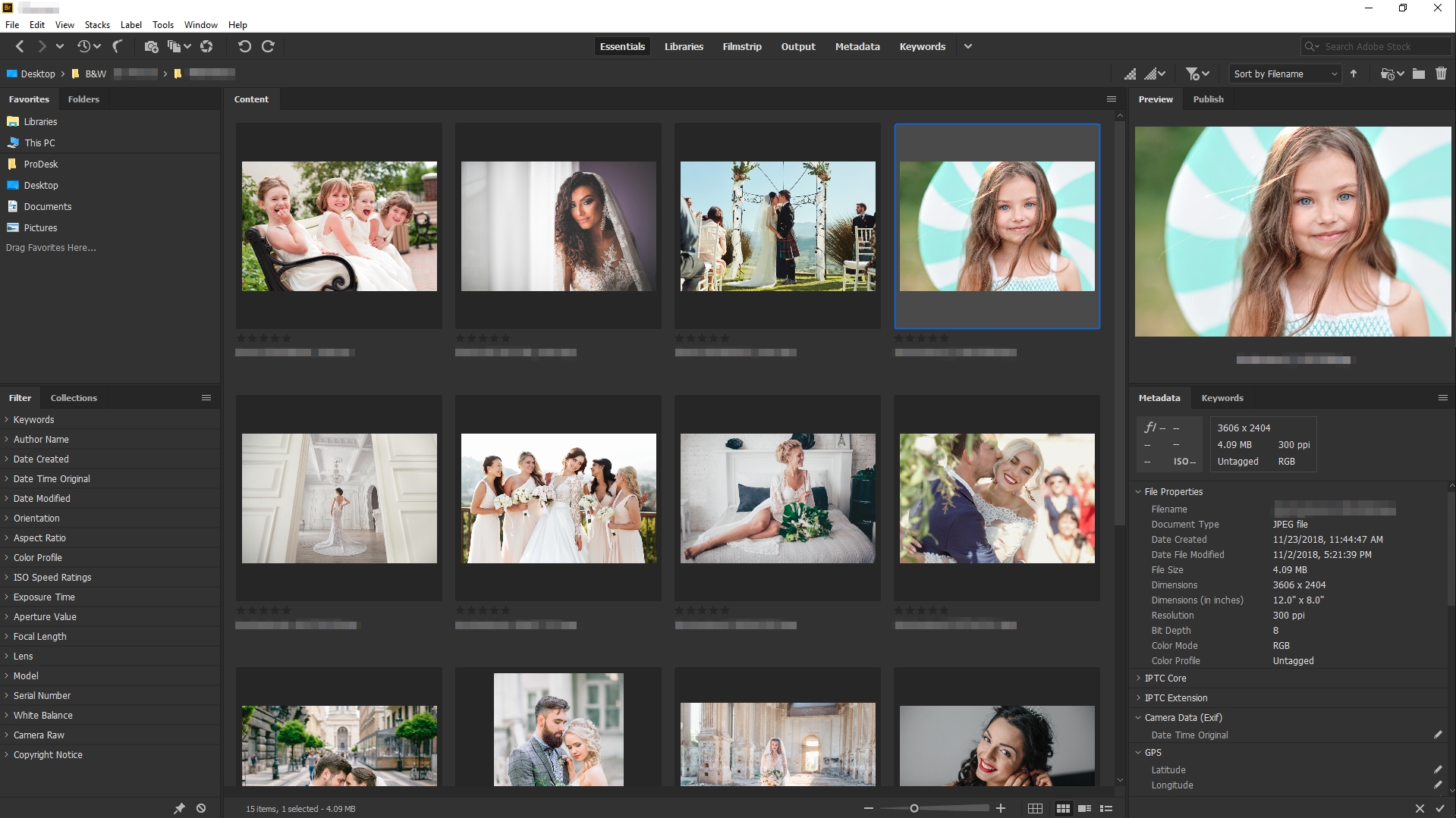 adobe bridge photo album