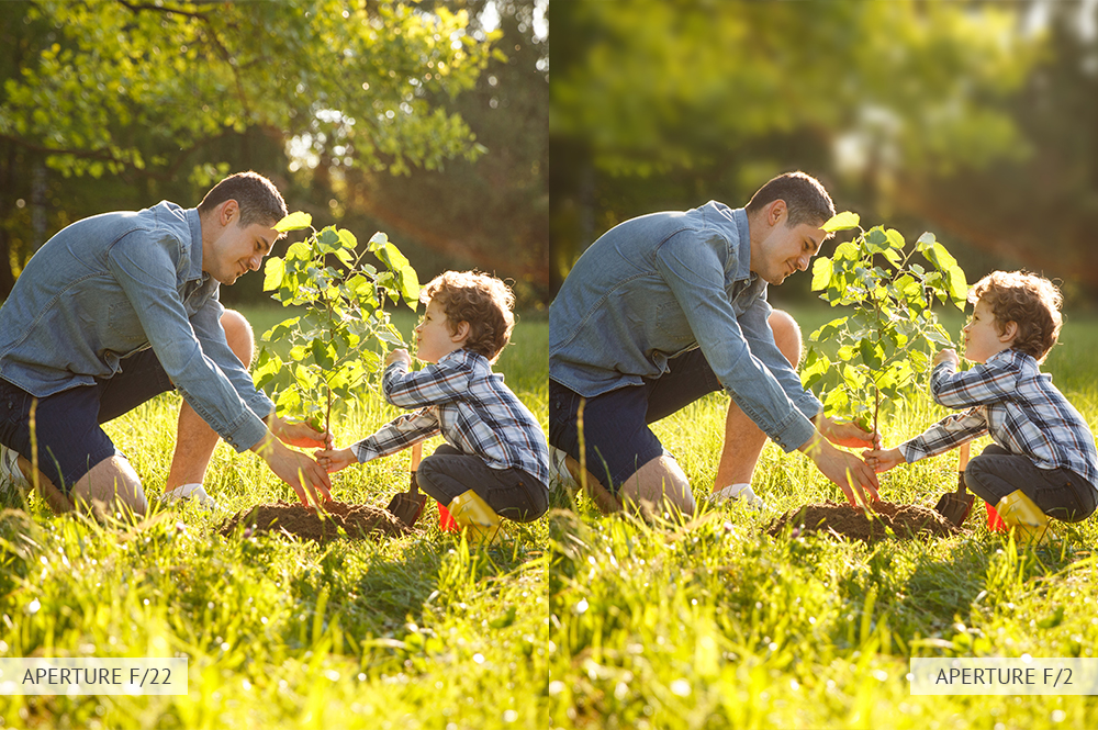aperture for professional family photography