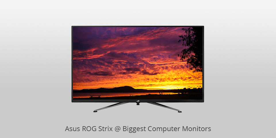 top large monitor for professionsl gamers