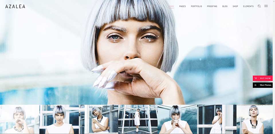 azalea wordpress theme