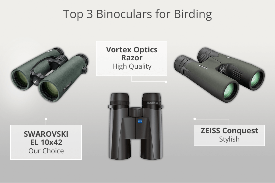 binoculars for birding
