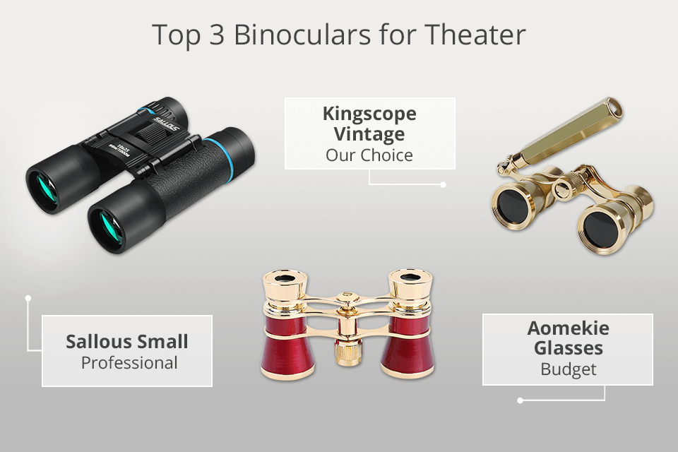 top binoculars for theater