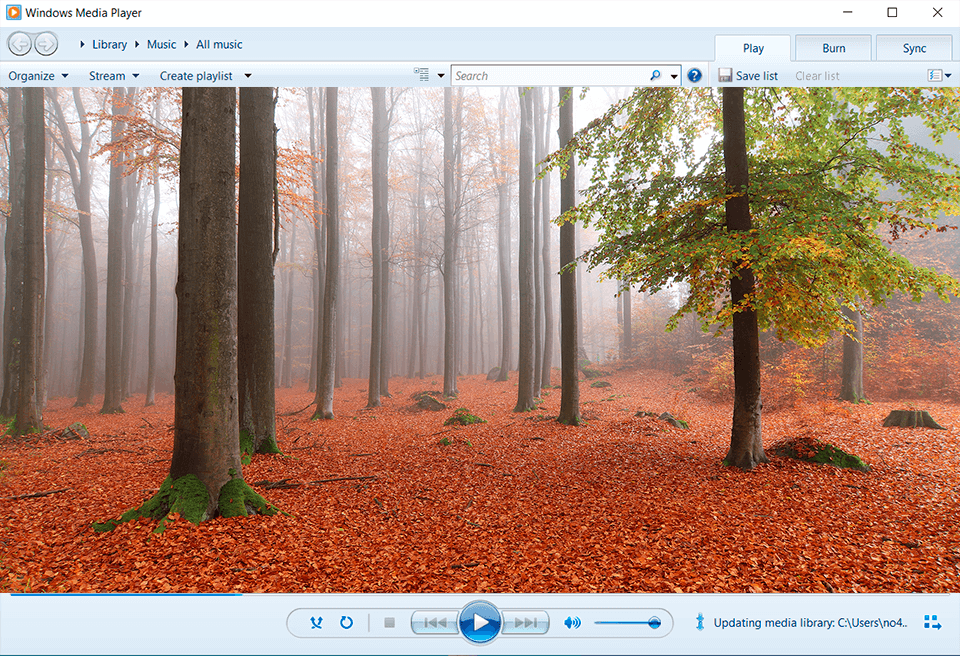 windows media player webm player interface