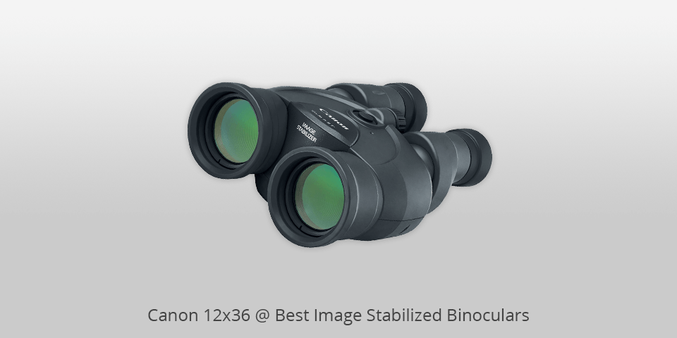 image stabilized binocular
