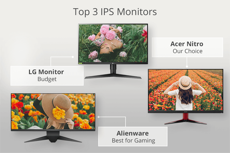 best ips monitors
