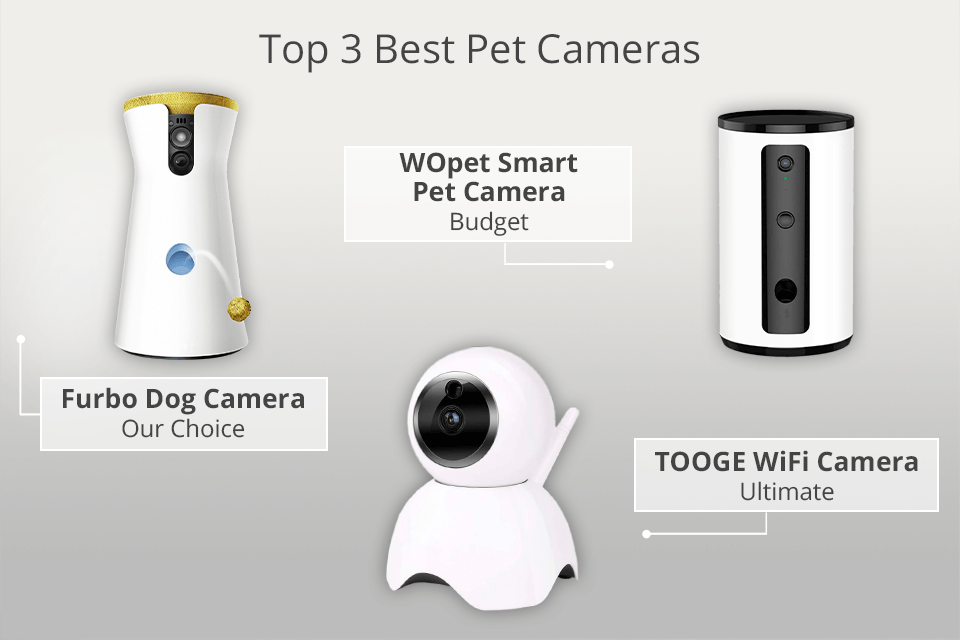 top pet monitoring camera