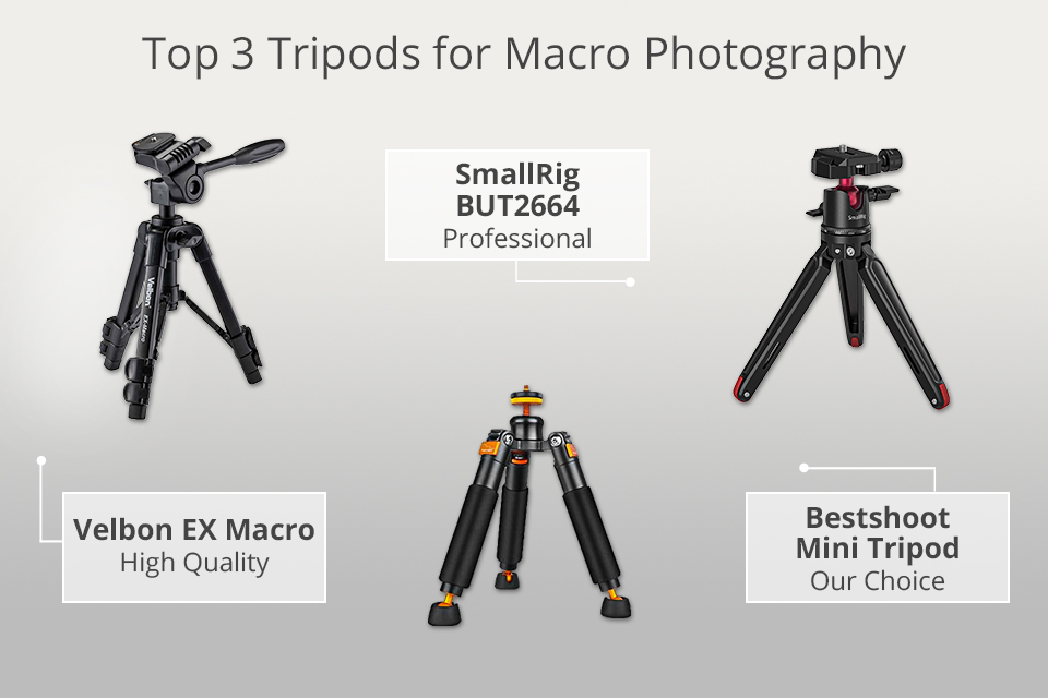 best tripods for macro photography