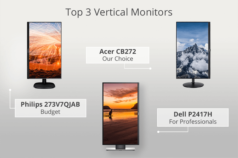 best vertical monitor for coding and reading