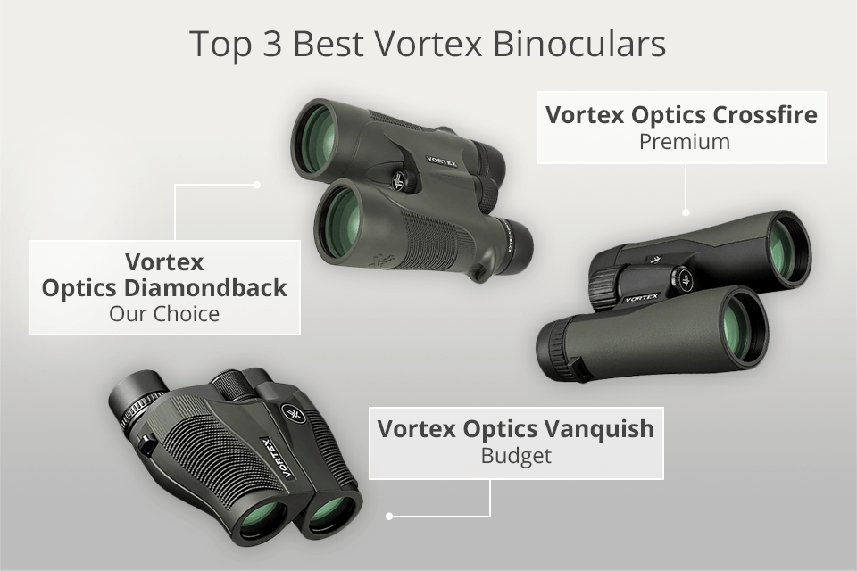 best vortex binoculars for the money
