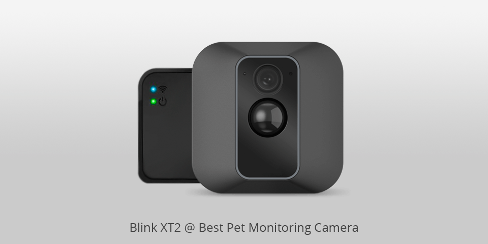 pet monitoring camera blink xt2