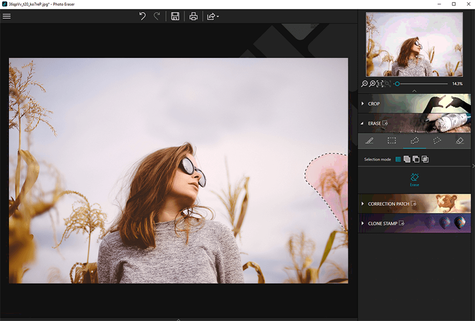 borrado automático inpixio