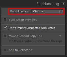 build previews minimal